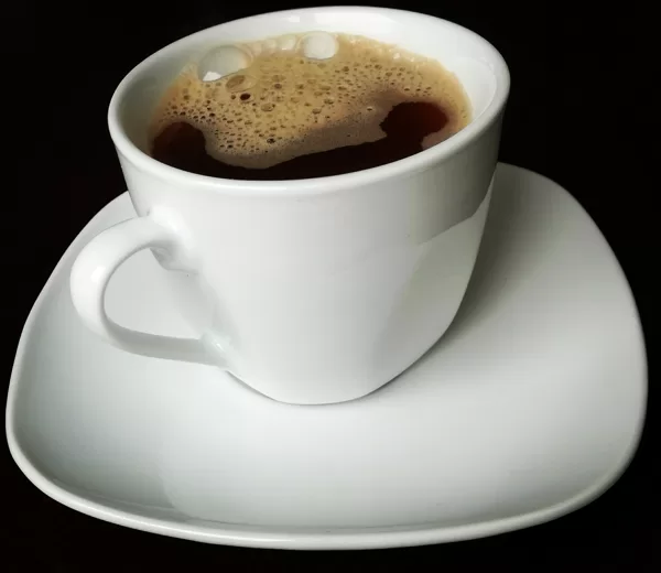 Acorn Coffee - Želod.Si