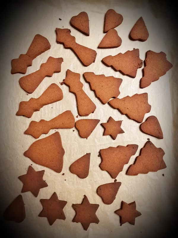 Xmass Cookies with Acorn Flour - Želod.Si