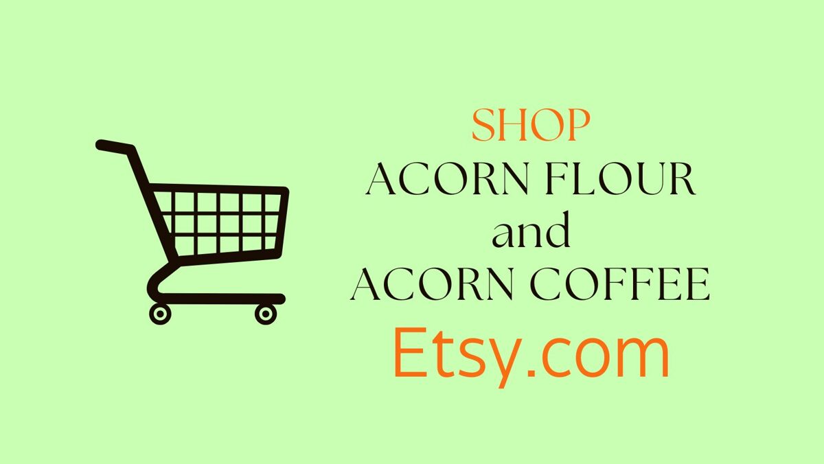 Acorn Coffee, Acorn Flour
