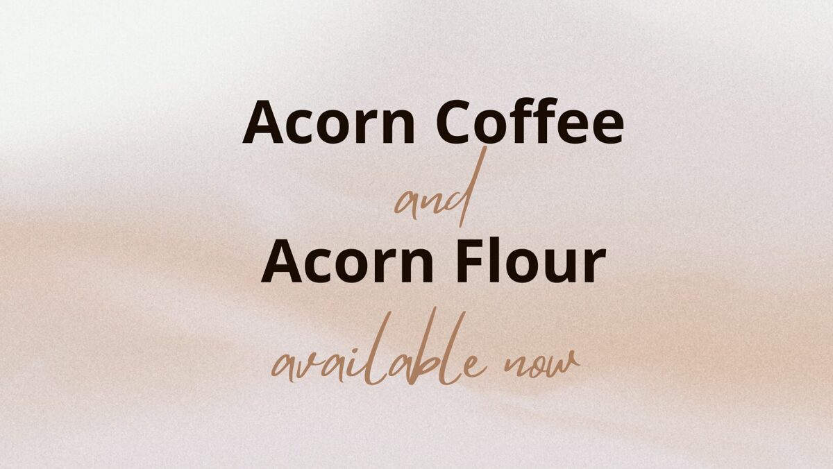 Acorn Coffee, Acorn Flour available now